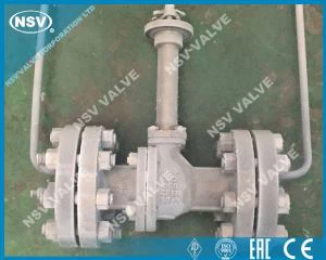 Van bi nổi đông lạnh